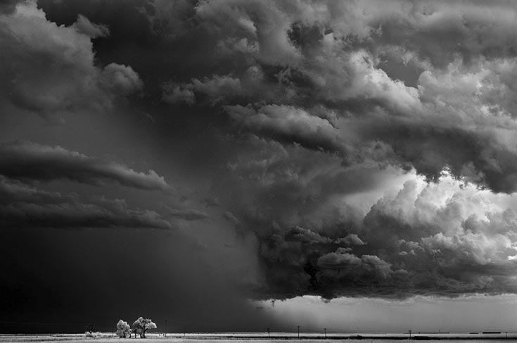 Stacks Image 175